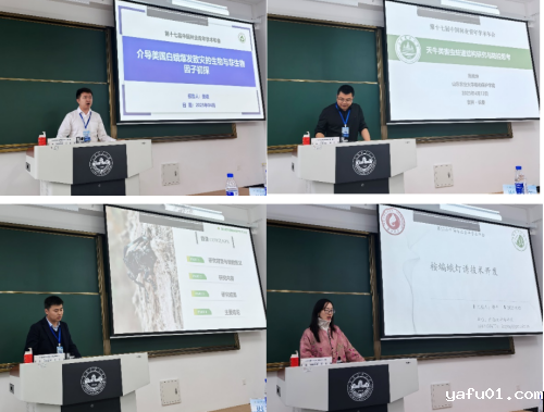 图片4-.png 图片4-.png