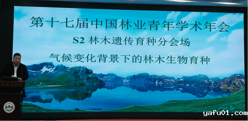 图片1-.png 图片1-.png