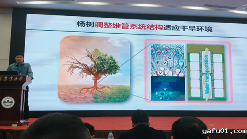 图片3-.png 图片3-.png