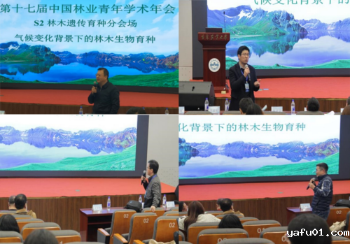 图片6-.png 图片6-.png