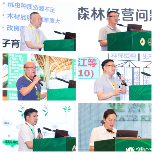 图片7-.png 图片7-.png