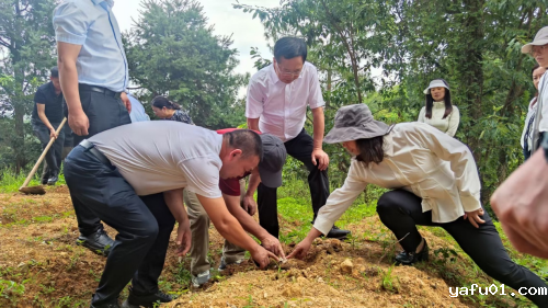 图片3-.png 图片3-.png