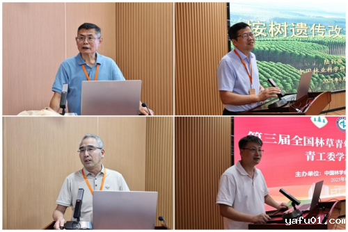 图片6-.png 图片6-.png