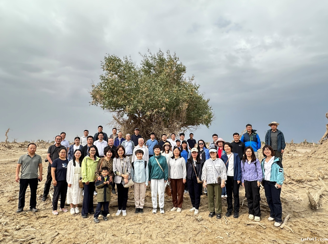 5abf30f9-9e09-47e3-98f6-fd516844b909.png 5abf30f9-9e09-47e3-98f6-fd516844b909.png