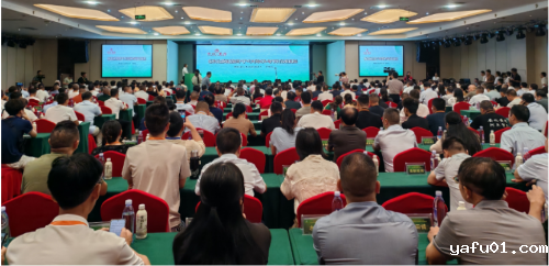 图片2-.png 图片2-.png