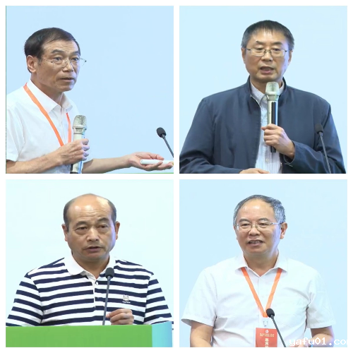 图片6-.png 图片6-.png