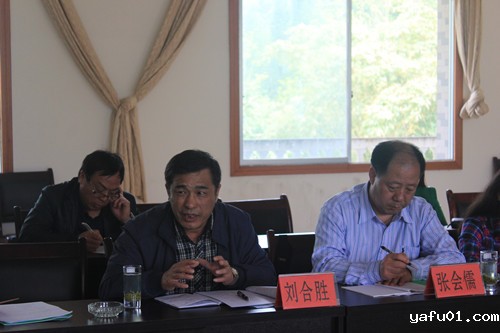 新利电竞官网副秘书长刘合胜介绍调研情况