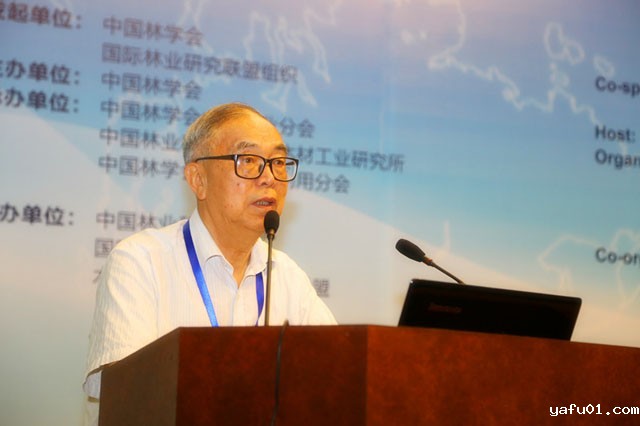 中国工程院院士张齐生教授为大会做特邀报告