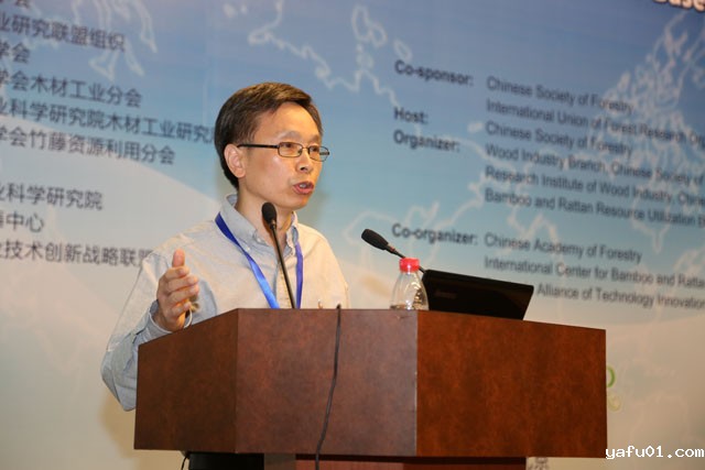 加拿大林产品创新研究院研究员戴春平做大会特邀报告