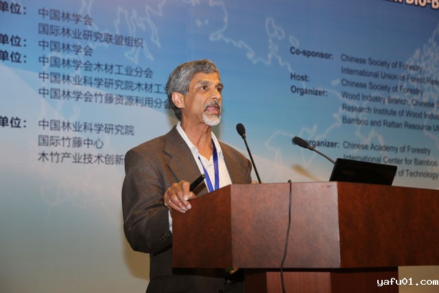 美国康奈尔大学阿尼尔教授做大会特邀报告