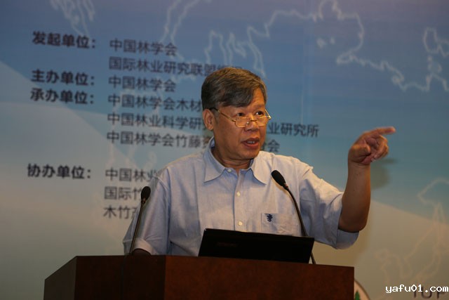 新利电竞官网木材工业分会理事长叶克林做大会特邀报告