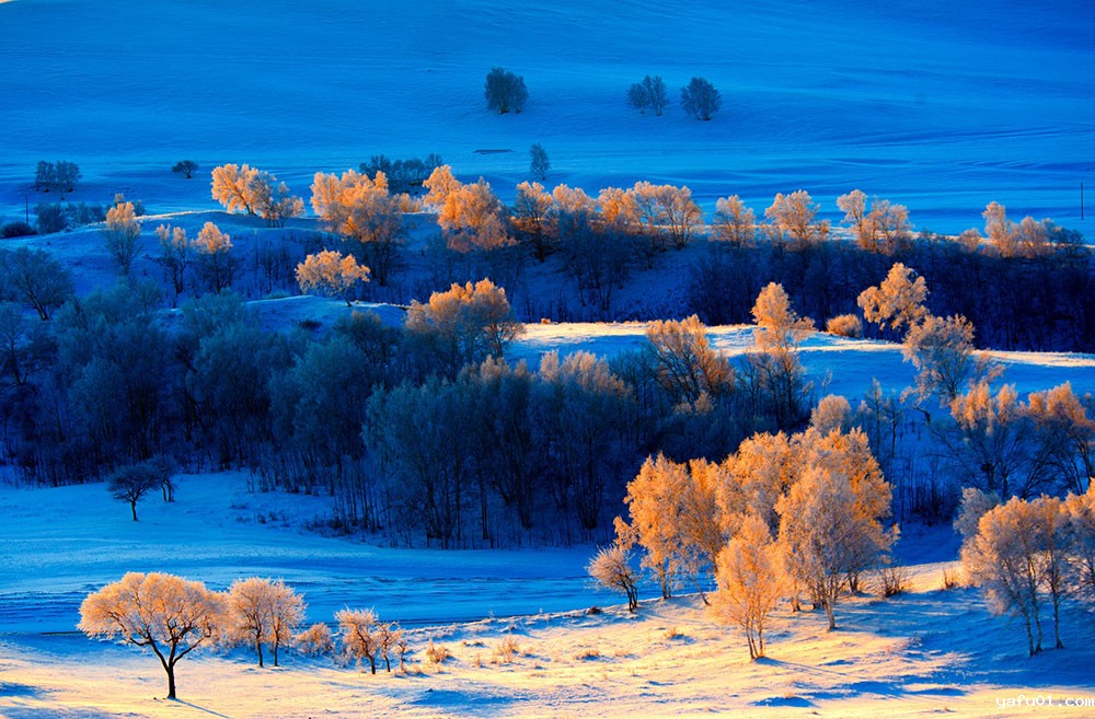 林海雪原-邹宝良