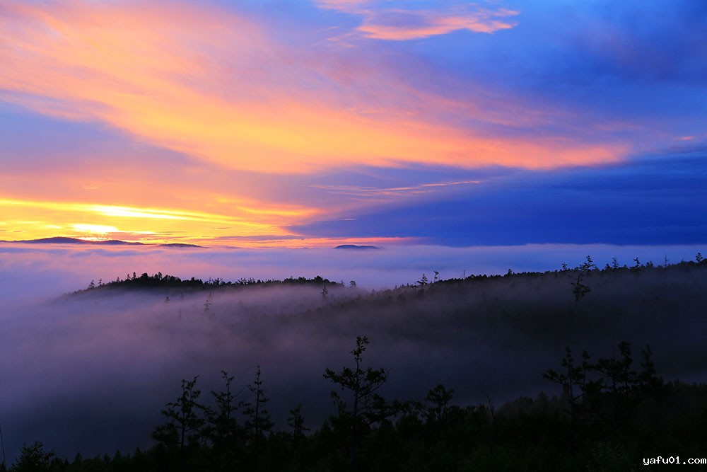 刘兆明-梦幻兴安岭