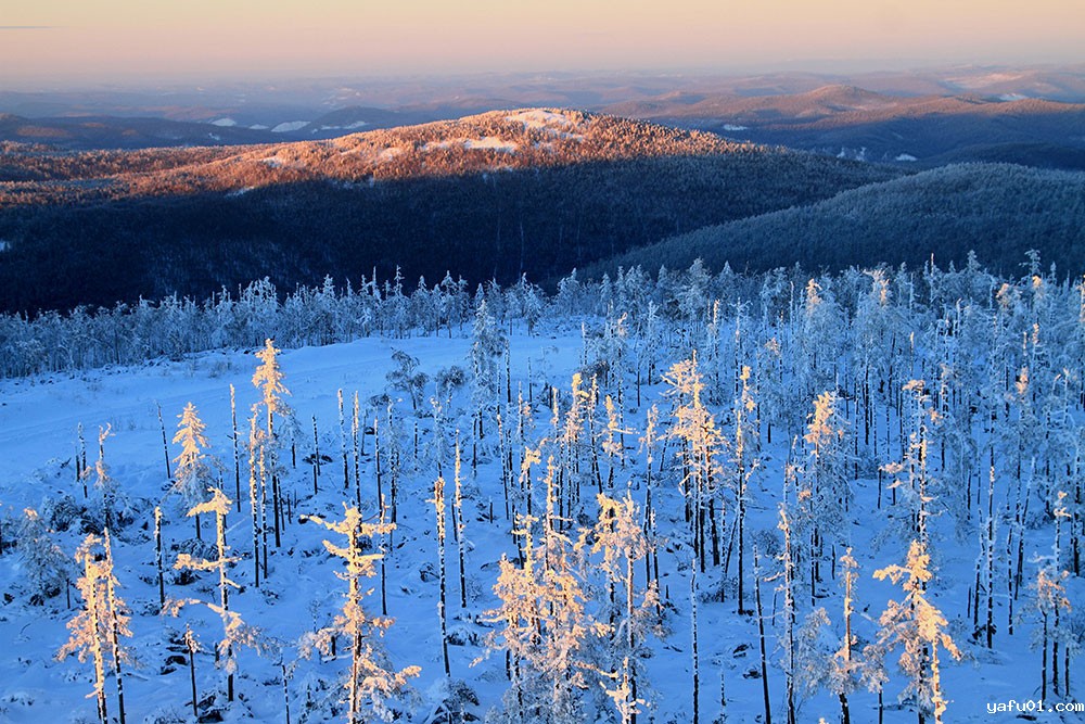 刘兆明-银装素裹
