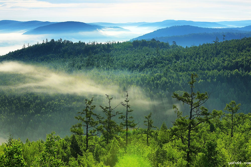 刘兆明-云雾山林