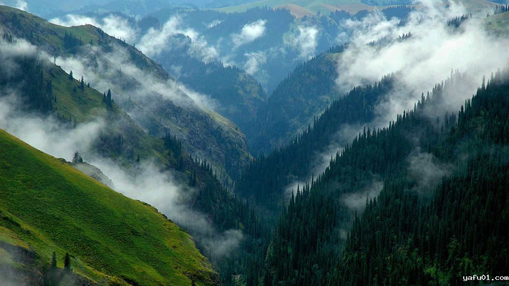 云起青峦-王琦光