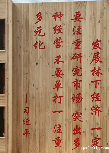 习近平总书记在视察万亩蓝莓园时的讲话